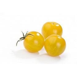 Tomate cerise jaune