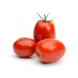 Tomate allongée