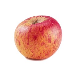 Pomme Reine des reinettes