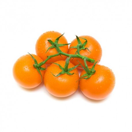 Tomate orange