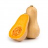 Butternut