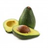 Avocat Hass