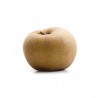 Pomme Canada